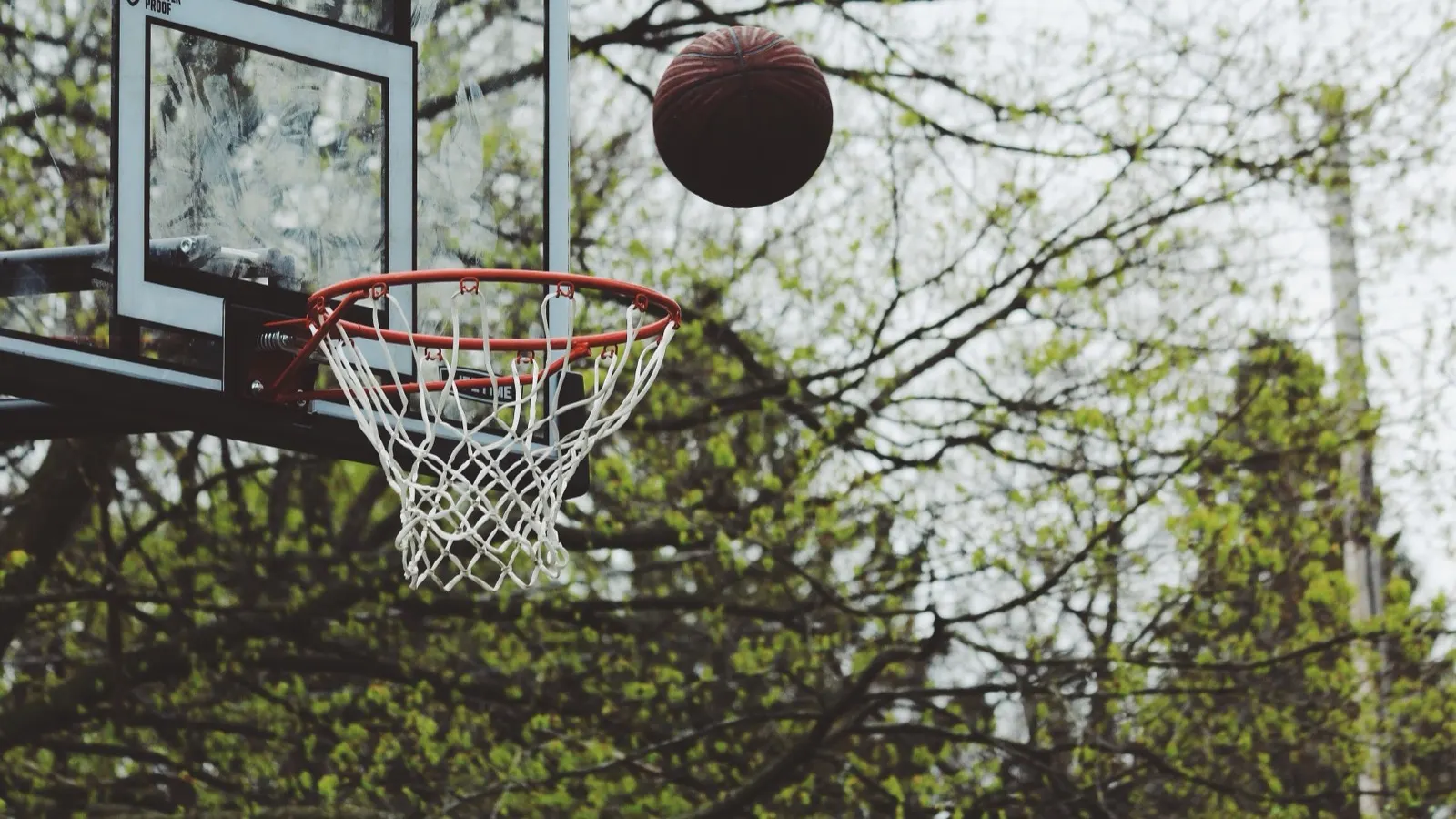 Balón entrando en una canasta de baloncesto