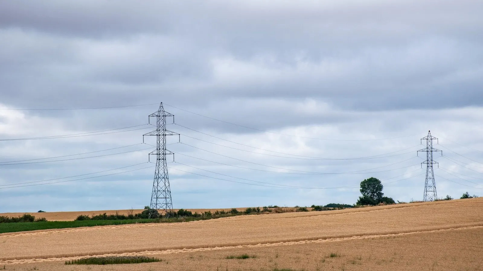 Torre de alta tensión entre campos de cereal